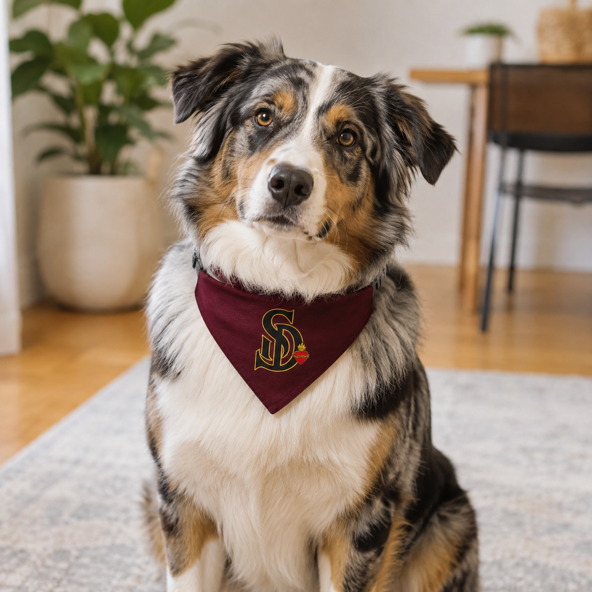Sacred Divine & Co. SD Monogram Clip-on Pet Bandana — Dark Luxury Dog Accessory
