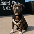 Sacred Divine & Co. Skull & Rose Clip-on Pet Bandana — Gothic Dark Luxury Dog Accessory